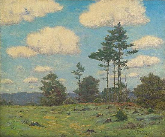 Charles Warren Eaton The Stump Lot